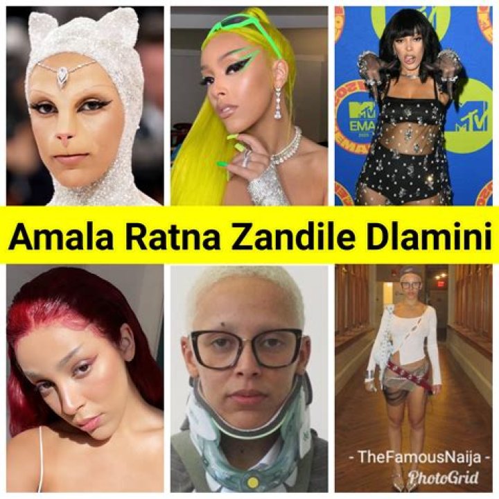 Amala Ratna Zandile Dlamini: The Indian Revolution