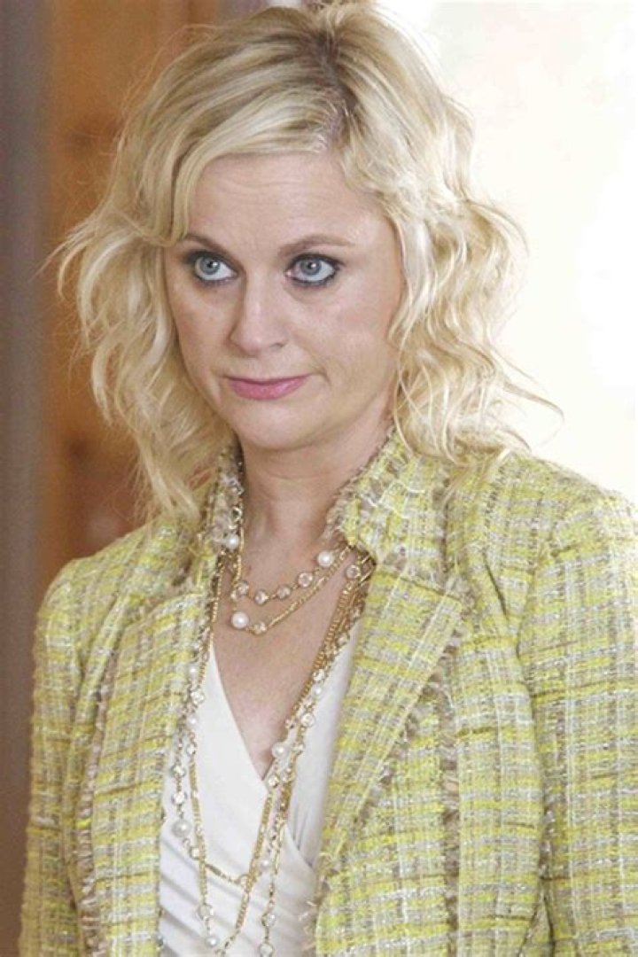 Amy Poehler Pregnancy: Everything You Need To Know