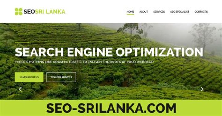 The Ultimate SEO Expert In Sri Lanka: Elevate Your Online Presence