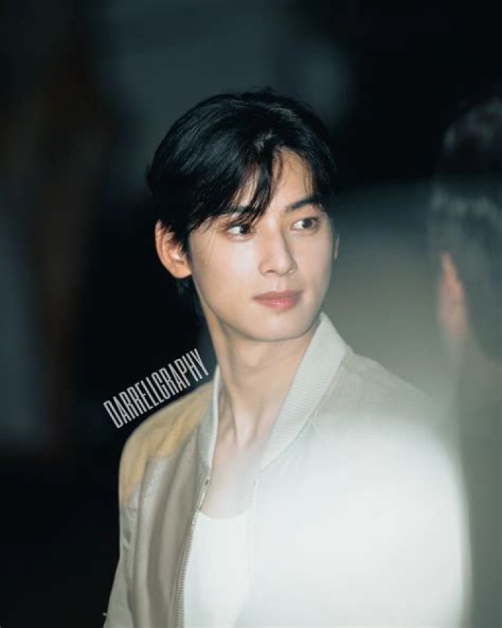 Cha Eunwoo Engagement Rumors: All You Need To Know