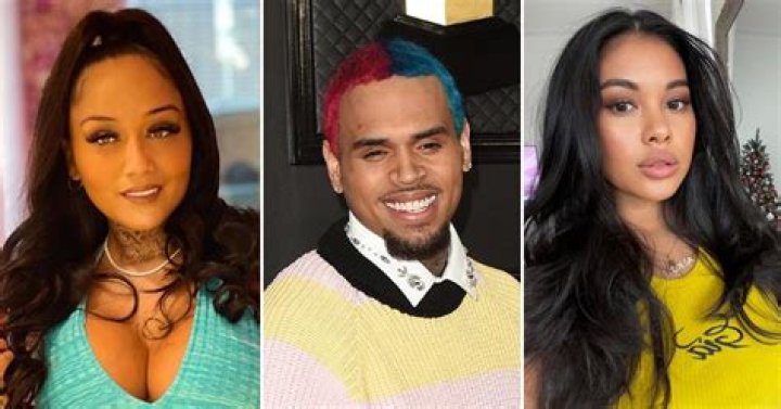 Chris Brown's Baby Mama Drama: A Timeline Of Controversies