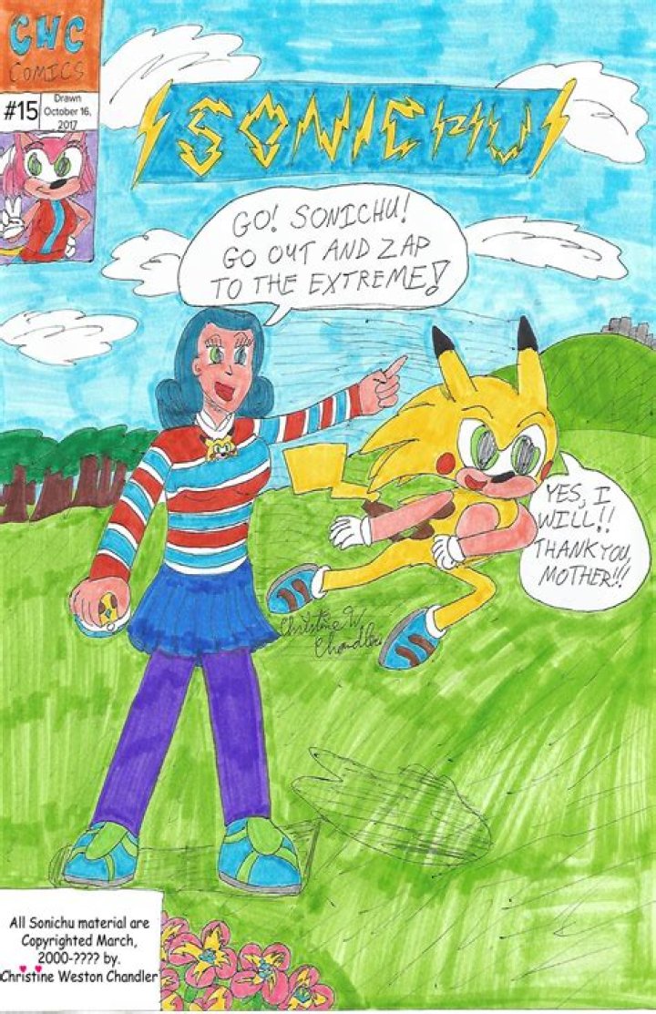 Unveiling The Enigma: Chris Chan Sonichu