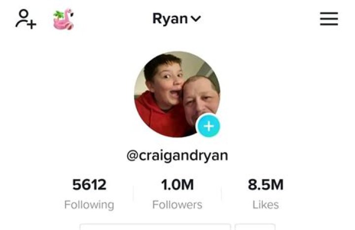 Encyclopedic Insights: Craig And Ryan Collins On Wikipedia