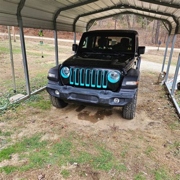 Dan Bastien: The Essential Guide To His Life And Career