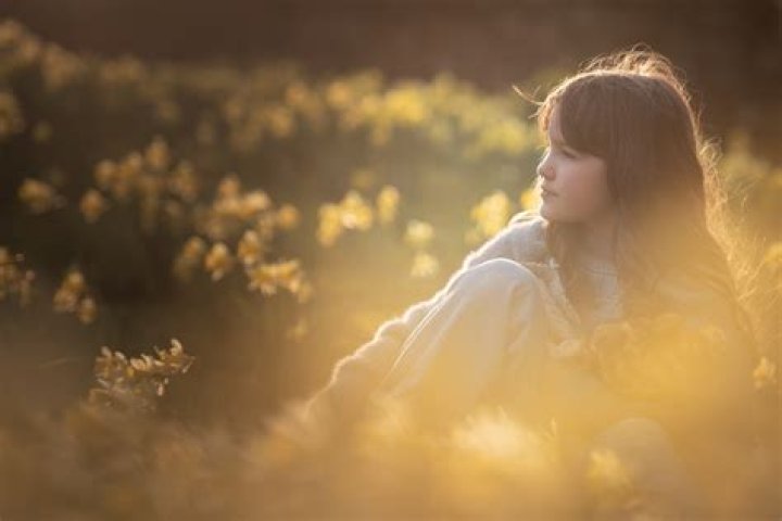 Experience The Expertise Of David J Wood: Renowned Researcher And Educator