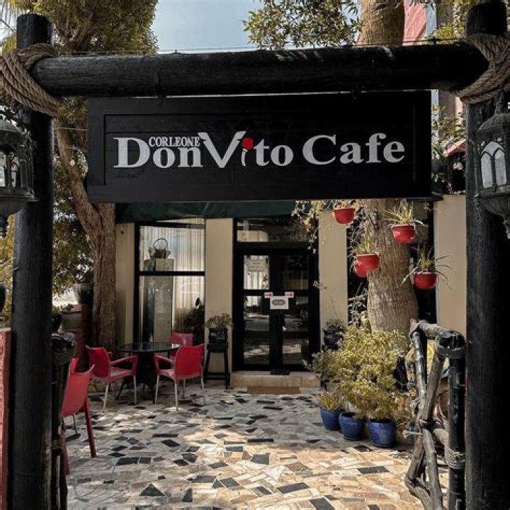 Top-Rated Don Bito: Essential Guide To Craft Cocktails