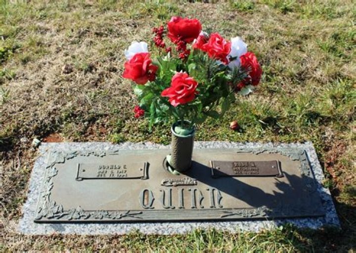 The Ultimate Guide To Earl Quinn's World