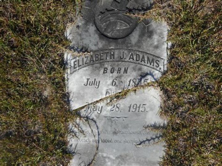 Dive Into The World Of Elizabeth Jane Adams: A Comprehensive Guide