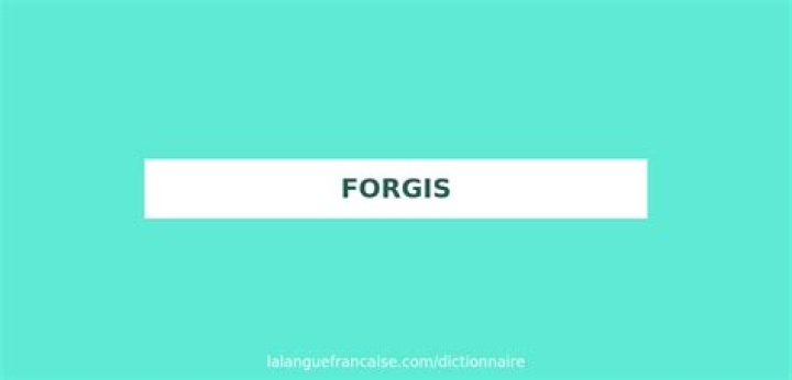 Ultimate Guide To Forgis Definition: Meaning, Origin, And More