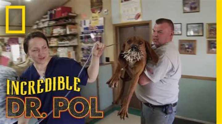 Unveiling The Age Of Dr. Pol: A Comprehensive Guide
