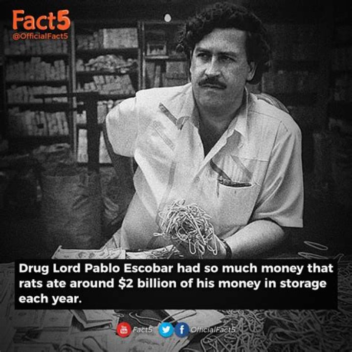 Uncovering The Staggering Wealth: How Much Did Pablo Escobar Amass?