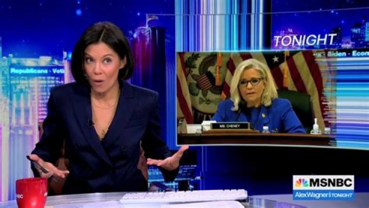 Is Alex Wagner, The Esteemed Journalist, Currently Separated?