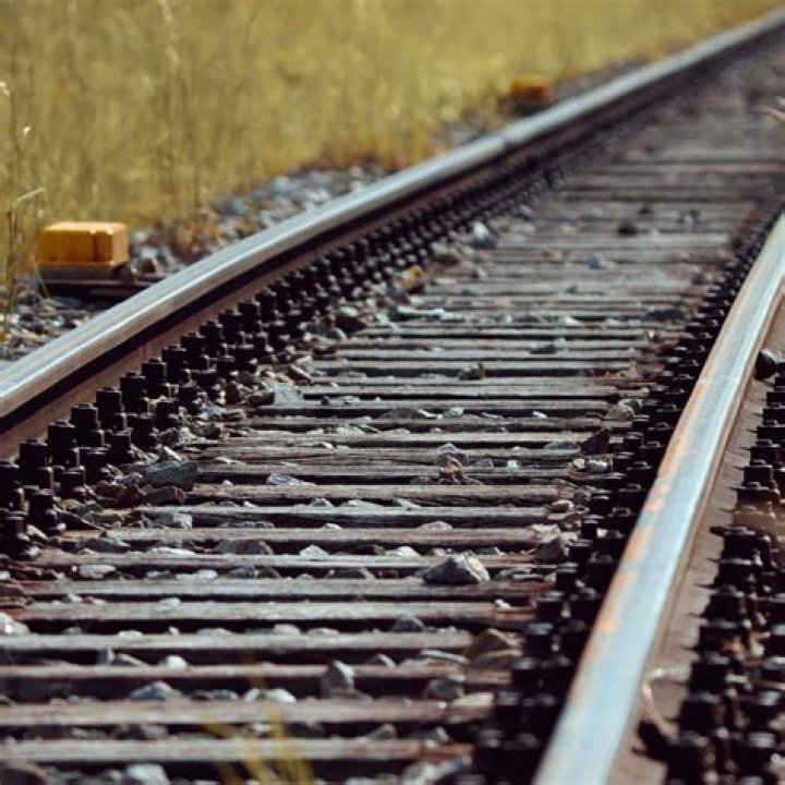 Has Joe Rogan Met His Untimely End: The Truth Behind The Rumors