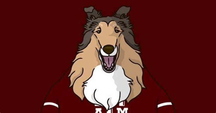 All You Need To Know If Luke Bryan And Zach Bryan Are Related