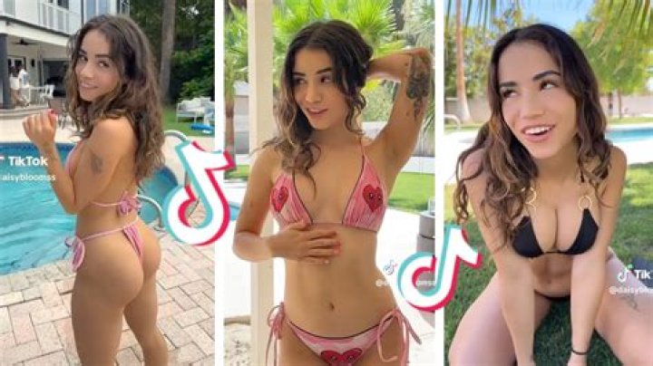 Leaked Files Expose Jellybeanbrains' Secret Operations