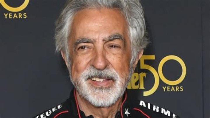 The Impact Of A Stroke: Joe Mantegna's Health Journey