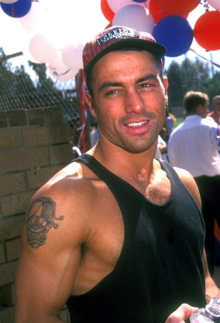 Joe Rogan And Children: Unraveling The Controversy