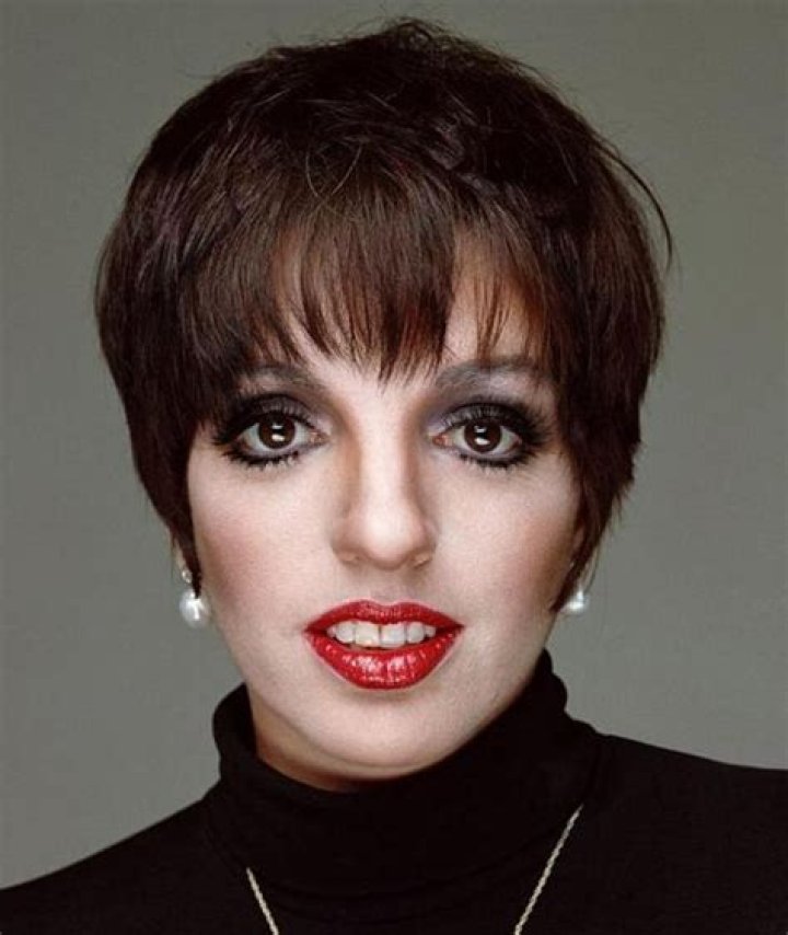 Liza Minnelli's Movies And TV Shows