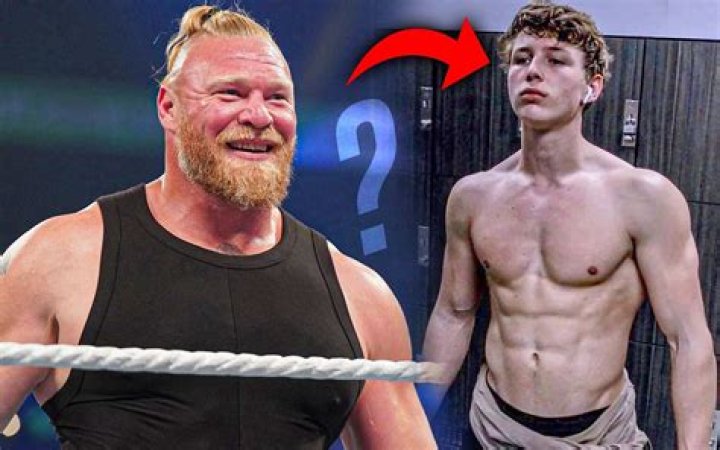 The Ultimate Guide To Luke Lesnar: UFC Star And WWE Superstar