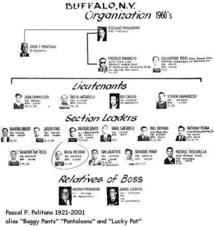 Explore The Deep Roots Of The Magaddino Family Tree