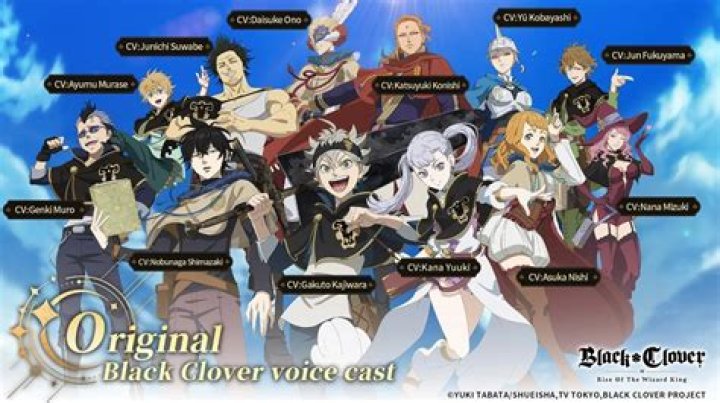 Ultimate Guide To Black Clover's Main Heroes