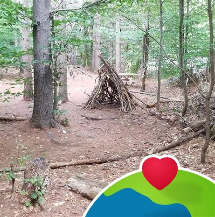 The Definitive Guide To Martin Frazee: Everything You Need To Know