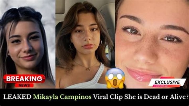 Unmasking The Controversy: Mikayla Campinos' Influence On The Beauty Industry