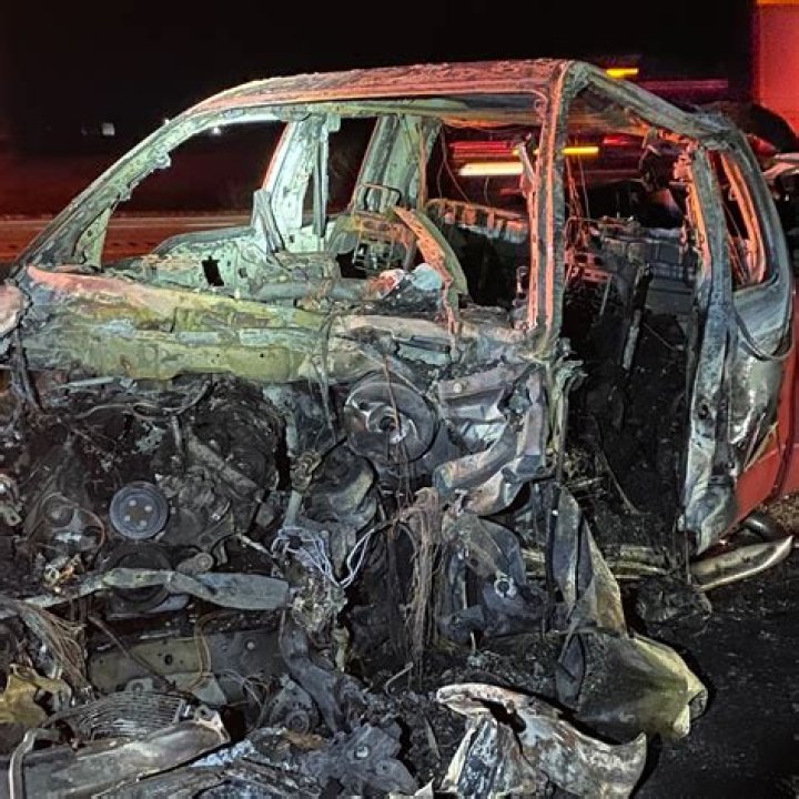 Tragic Loss: Niki Cat Fatality In Horrific Car Accident