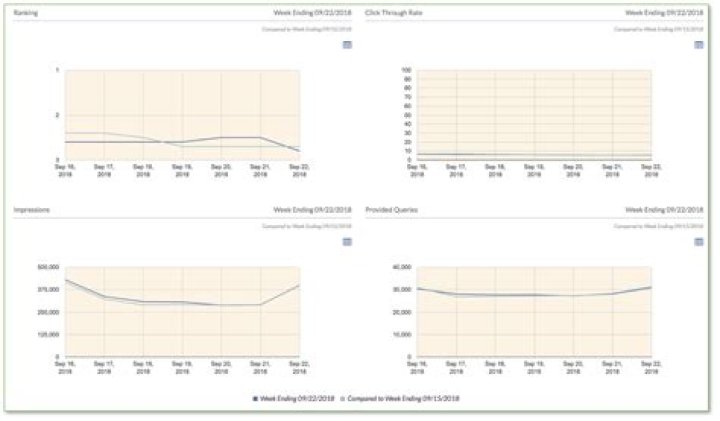 Unbeatable Organic Rank Tracking For Enhanced Visibility