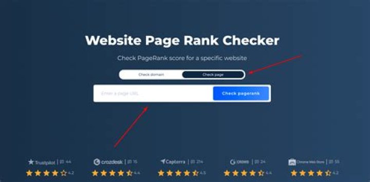 Supreme Page Rank Google Checker Tool: Analyze Your Website's Authority