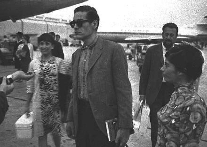 Peri Cousins: A Guide To Understanding Your Extended Family