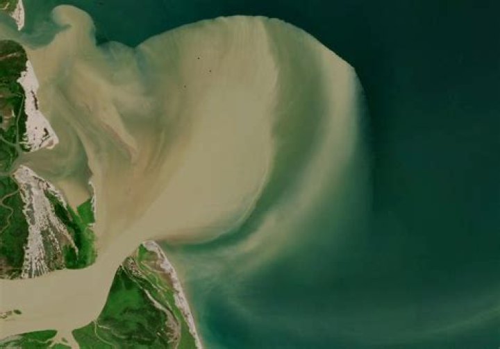 Stunning Plume Pictures: Capture The Grace Of Nature