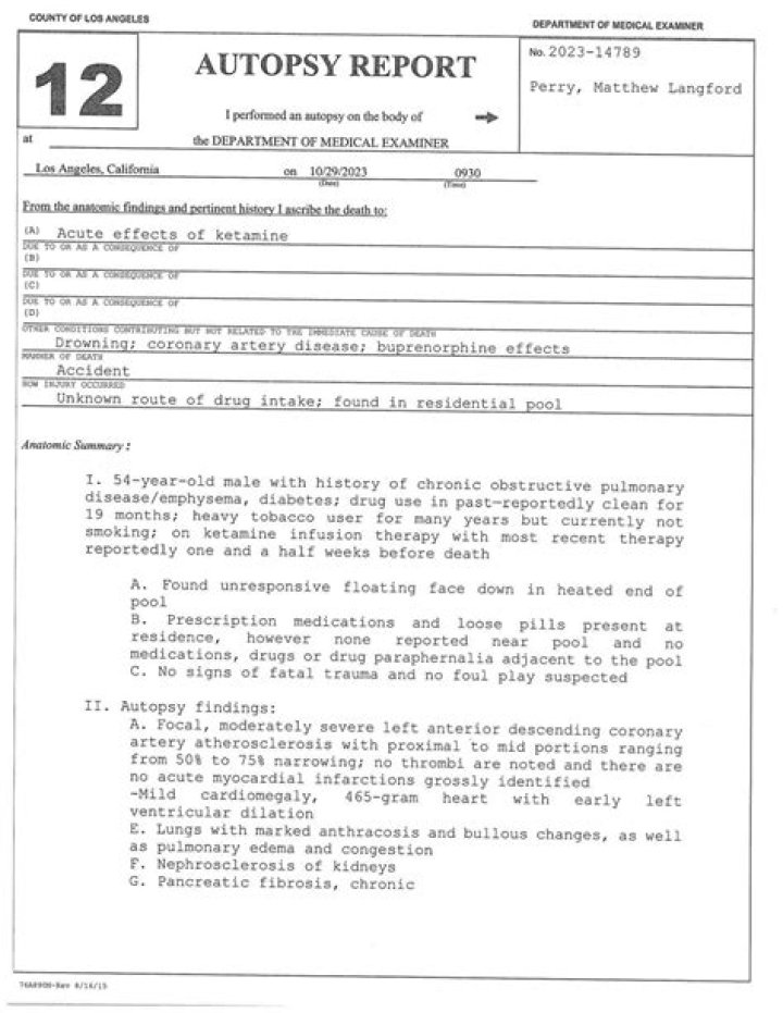 Uncovering The Truths: Ray Stevenson Autopsy Report Unveiled