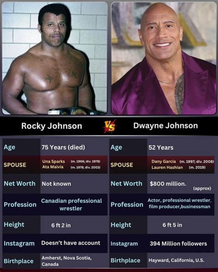 Rocky Johnson's Wife: Uncovering The Wrestler's Life Partner