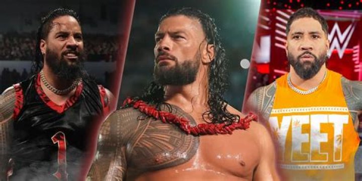 Discover The Secrets Of Roman Reigns' Cousins, The Usos