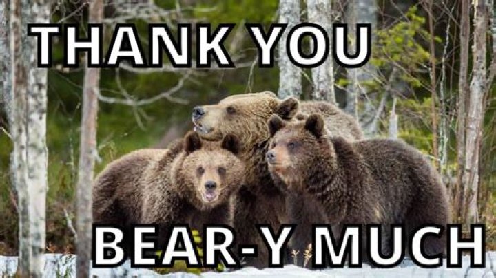 Top 10 Hilarious "Thank You So Much" Memes To Express Gratitude Online
