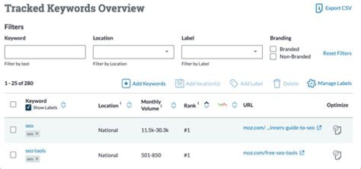 Comprehensive Tracked Keyword Overview