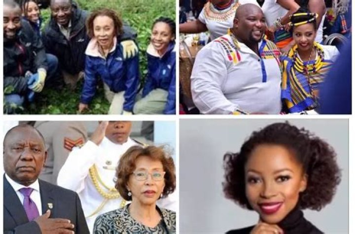 Tshepo Motsepe's Ethnic Background: Exploring The Business Tycoon's Identity