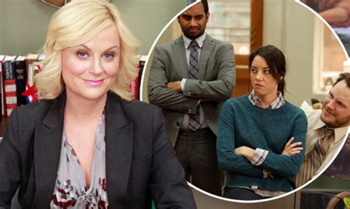 Was Amy Poehler Pregnant With Her Second Child?