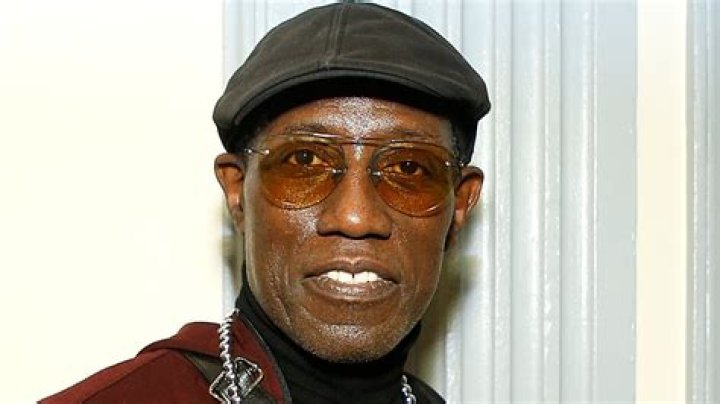 The Truth About Wesley Snipes' Mysterious Illness