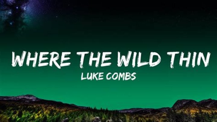 Unveiling Luke Combs' "Where The Wild Things Are": A Lyrical Journey